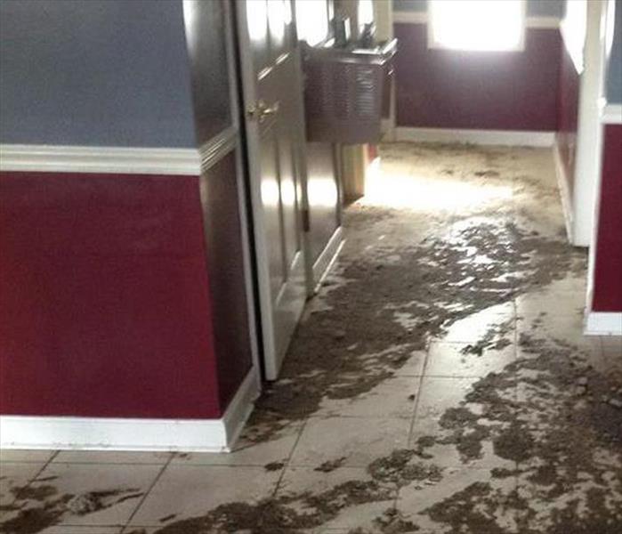 sewage debris settling on tiled hallway floor