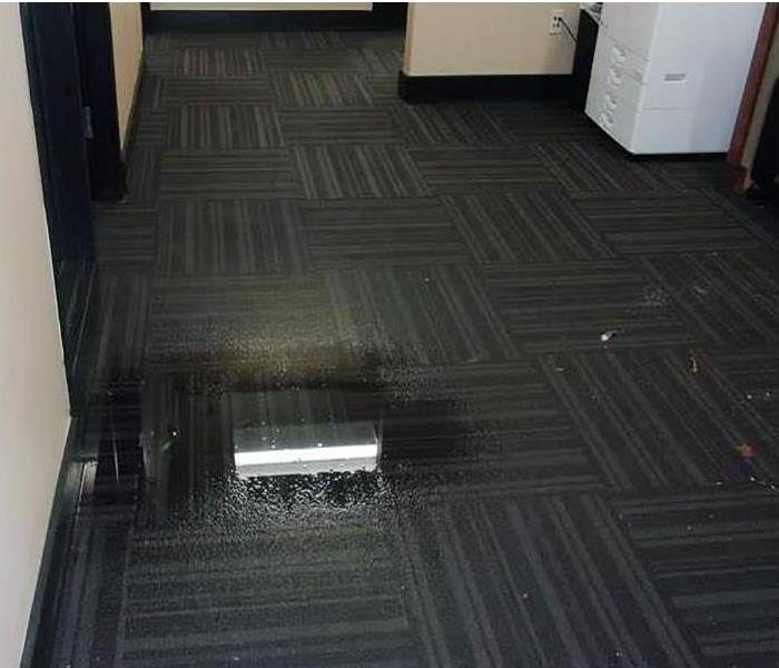 pooling water on carpet in an office, light reflecting off it