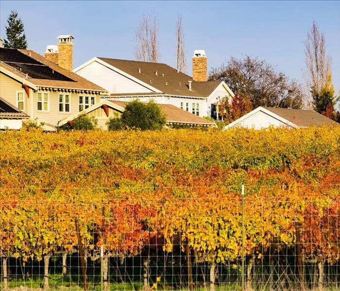 vineyards and houses in Livermore